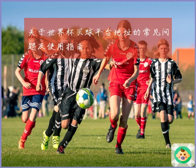 关于世界杯买球平台地址的常见问题及使用指南