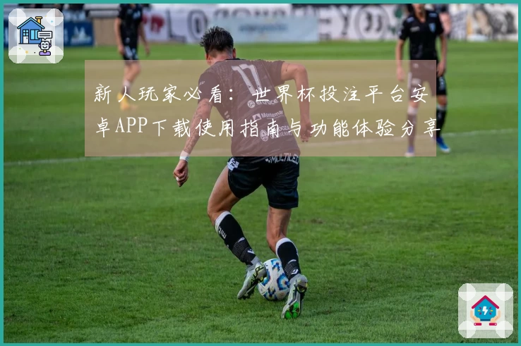 新人玩家必看：世界杯投注平台安卓APP下载使用指南与功能体验分享