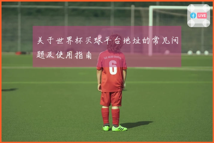 关于世界杯买球平台地址的常见问题及使用指南