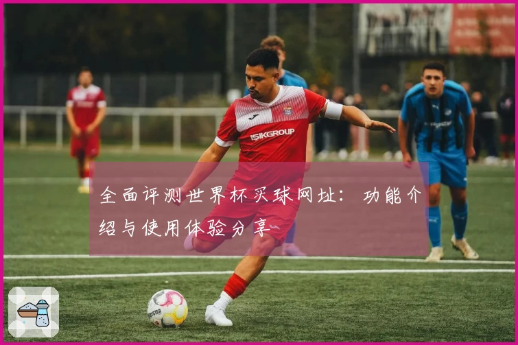 全面评测世界杯买球网址：功能介绍与使用体验分享