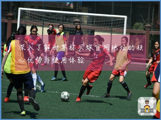 深入了解世界杯买球官网地址的核心优势与使用体验