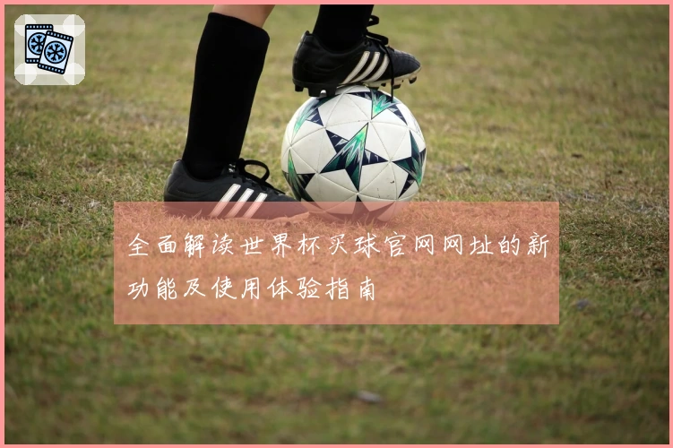 全面解读世界杯买球官网网址的新功能及使用体验指南