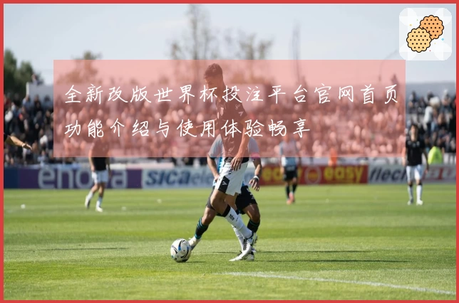 全新改版世界杯投注平台官网首页功能介绍与使用体验畅享